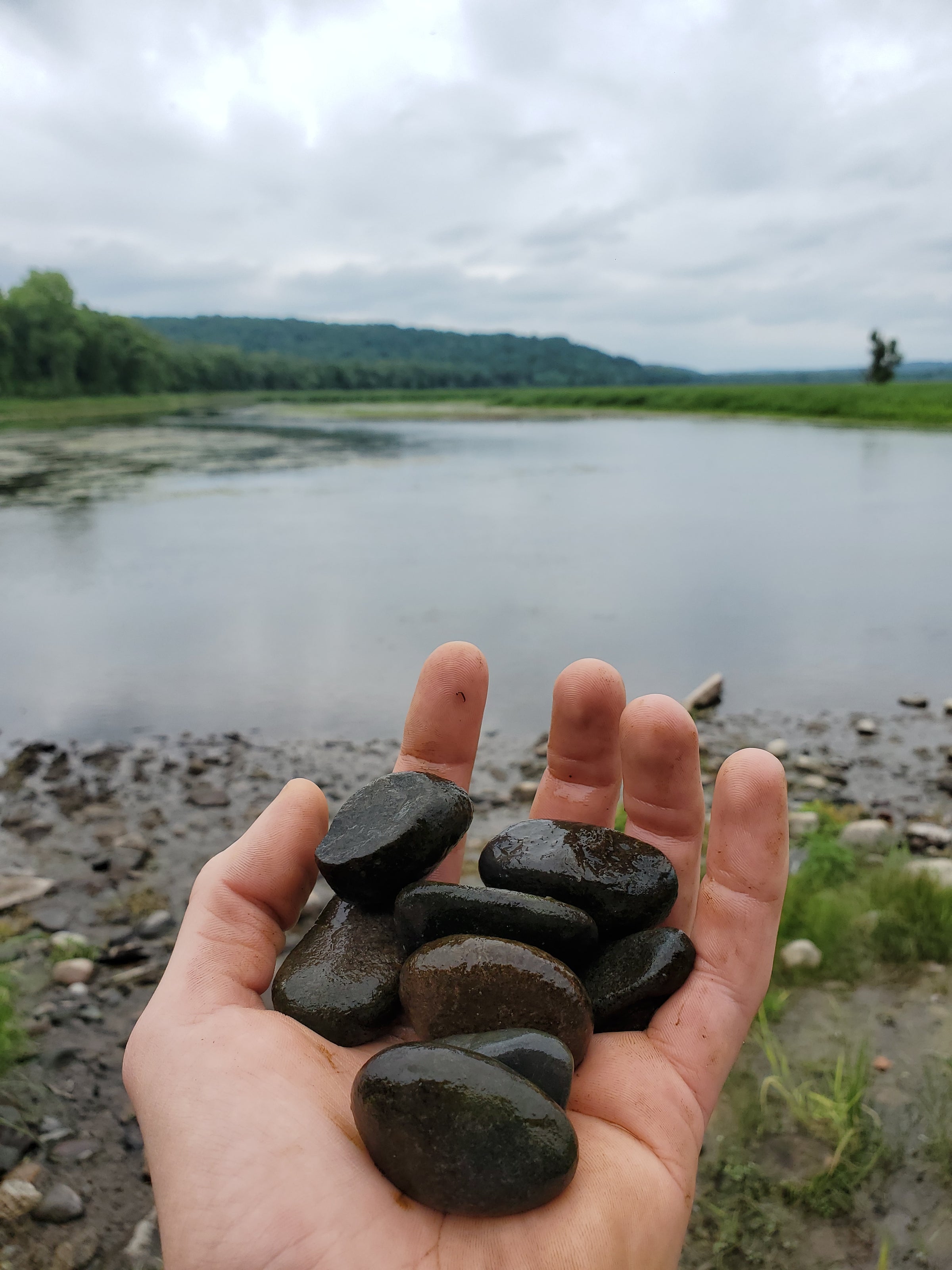 River Rock Pint Set of Two | Danté Germain Glass